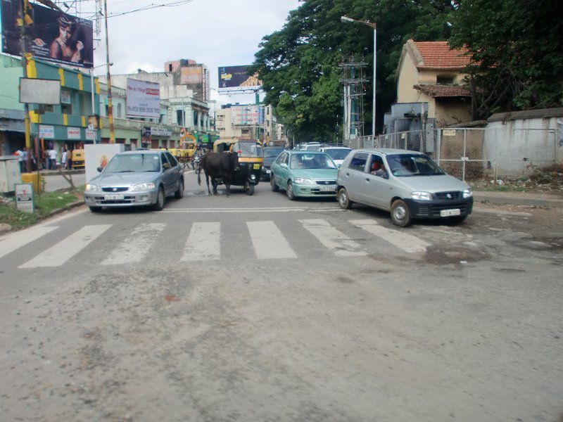 India Trip - July 2010 168.jpg